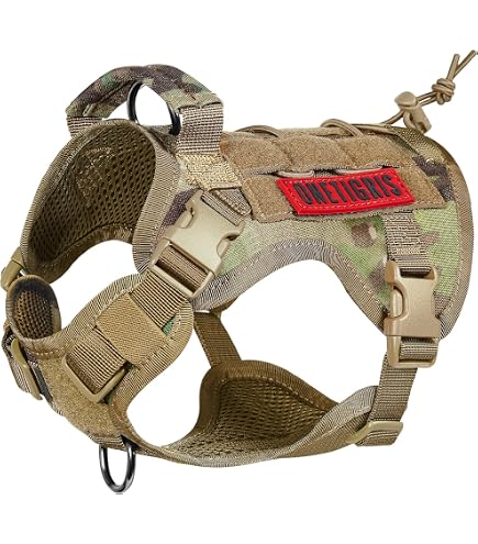 Forestpaw Taktisches Hundegeschirr-Set – Mit Halsband, Bungee-Leine & Rucksäcken, Für Große Hunde, Kein Ziehen