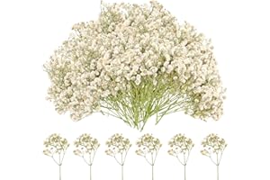 SZHHRXI 120 Pièces Gypsophile Séché, Fleurs Séchées Vrac Naturelles, Mini Fleurs Séchées, Fleurs Pressées Séchées pour Boite Bijoux Bougie DIY Cadres Photo, Gypsophile Fleur Sechees Decoration (Blanc)