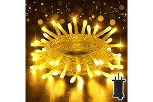 Isisyu Fairy Lights Plug in, 33Ft/10M 100 LED Waterproof String Lights Mains Powered, Warm White Christmas Lights Indoor Outdoor with 8 Modes, Timer, Memory for Garden Party Decorations