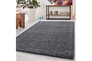 BPIL Shaggy Rugs Soft plain Thick Pile Large Small Antiskid Area Rug (GREY, 160X230CM)