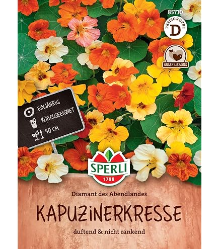 Kapuzinerkresse, Variegated Queen : Amazon.de: Garten