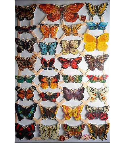 EF Glanzbilder Mit Vogel-Motiven – 24 X 15 Cm, Für Scrapbooking, Karten & Deko