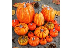 TEWWCEO 16 Piezas Decoraciones de Otoño de Calabaza, Calabazas Artificiales, Juego de Decoracións de Otoño, Decoración para Acción de Gracias, Decoración de Fiesta de Halloween de Mesa de Otoños
