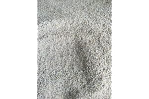 NATURAVIVA BASSANO dal 1995 CALCISAND - Sabbia di Calcio 100% Naturale - per Tutti I RETTILI (Sacco da 5 kg)