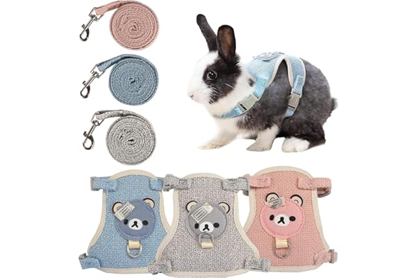 Lot de 3 laisses réglables de 120 cm pour lapin nain avec laisse pour chat (1-3 kg)