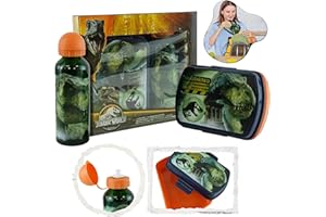 HOVUK Botella de agua para niños Jurassic W0rld y fiambrera de plástico de 8 ", contenedor de almuerzo, botella de agua deportiva de aluminio de 500ml, regalo para Picnic escolar