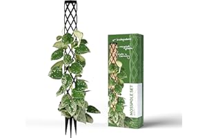 PlantMe Rankhilfe Mini, kleine Rankhilfen für Kletterpflanzen, Monstera, Moosstab, Pflanzstab, Pflanzenstütze, small Moss Pole, Kletterhilfe Zimmerpflanzen (40cm Without Filling, Schwarz)