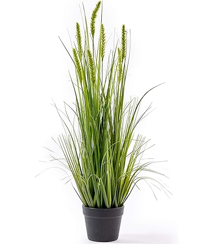 styropor blumenkasten Flexi-Design Blumenkasten mit Sichtschutz bis 150cm – Potflex main image 0
