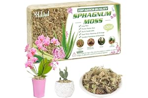 Halatool 340g Premium Sphagnum Moos für Pflanzen & Orchideen - Organisches Torfmoos Langfaserig，Blumenerde für Zimmerpflanzen und Terrarien，Natürliche Feuchtigkeitsspeichernde Pflanzenerde