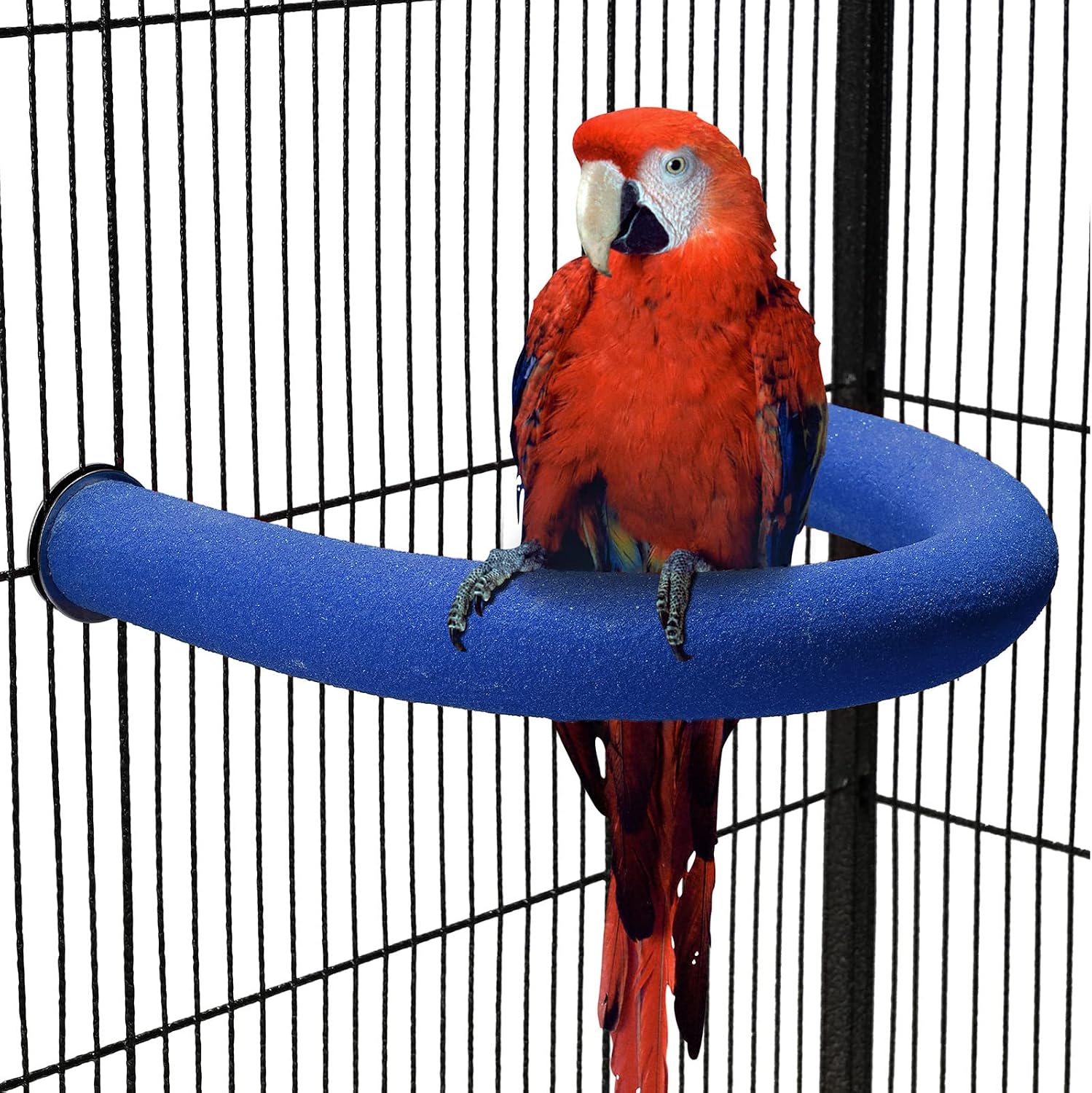 TeTupGa U Shape Parrot Perch Stand Pet Toy Bird Platform Sand Paw Grinding Clean Stick Cage Exercise Conure Budgie Cockatiel Accessories (Blue Large)