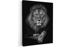 MuchoWow© Laminas Cuadros de Salon para Dormitorio 60x80 cm Lienzos Decoración Pared Cuadro Habitacion Decoracion León - Animales - Negro - Blanco