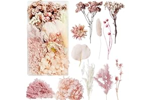 Slvoaujtk Flores Secas Manualidades Flores Preservadas Naturales Flores Secas Decorativas Flores Prensadas Secas Naturales para Marco de Foto DIY Decoración Artesanal (Rosa)
