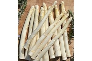 ‎BLEICHHOF Bleichhof Bleichspargel (geschält und vakuumiert) - besonders lecker » aus eigenem Anbau « 100% naturbelassen - Premium-Qualität - erstklassiges gesundes Gemüse - weiß - 2 kg