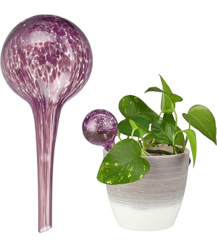 Guidre Grote gietballen, transparante plastic waterdispenser voor potplanten, automatische waterdispenser, watervoorzieningssysteem (8st