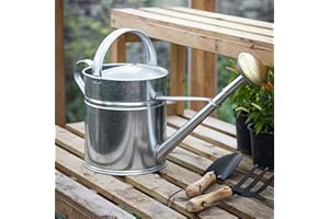 CKB LTD - Regadera de metal para exteriores de 10 L, acero galvanizado con rosa de latón, para jardines grandes y pequeños, flores y plantas, resistente, antioxidante (10 litros)