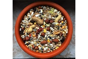 CURA-CANIN 5 kg natürliches Eichhörnchen Futter in Premium Qualität Eichhörnchenfutter der Spitzenklasse Streufutter Futterhaus