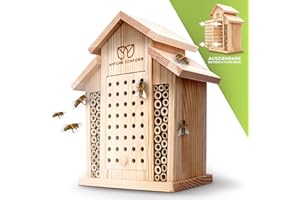 Nature Conform Insect Hotel Natural Wood Bee Hotel [Monitoring Box ] Clean Finish with Bamboo Tubes | Nesting Aid Wild Bee Hotel Garden and Balcony | Beehouse
