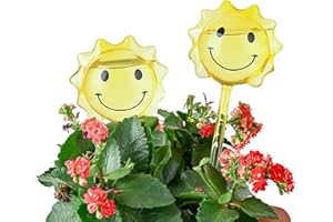 Grünara Glas Bewässerungskugeln, 2er Set, dosierte Wasserspender für Innen- und Außenpflanzen, 2 Wochen Bewässerung (gelb)