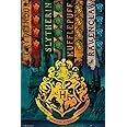 GB eye Harry Potter House Flags 61 x 91.5cm Maxi Poster