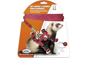 ICA Red Ferret Harness and Lead Set DA970