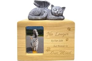 DOINFUN Dog Ashes Box, Bamboo Ashes Box for Dogs with Cat Angel, Ashes Casket Keepsake Memorial Gift with Picture Frame, Cremation Box for Kitten, Model D