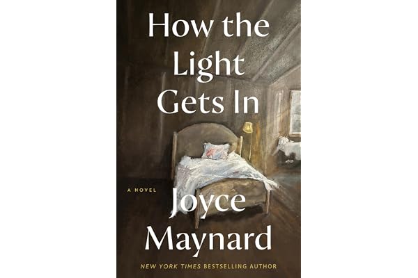 How the Light Gets In: A Heartfelt Novel of Resilience, Redemption, and the Unbreakable Bonds of Family in Turbulent Times