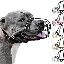 BRONZEDOG Hond Muilkorf Wire Mand Metalen Masker voor Middelgrote Honden (Maat 4: Pitbull & Amstaff BRONZEDOG Hond Muilkorf Wire Mand Metalen Masker voor Middelgrote Honden (Maat 4: Pitbull & Amstaff