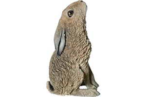 M.E.G Cards & Gifts Vivid Arts - Decorazione per la casa o il giardino con la luna e la lepre della vita reale (XRL-HR01-D)