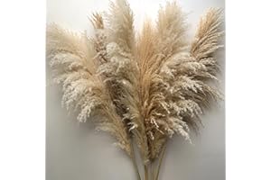 TSHÙ Natural Dried Large Pampas Grass, 6 stems 47 inches/120 cm tall, Extra Large and Fluffy, ideal for minimalism, rustic, boho Home Decor and Weddings, Parties | Natural Gold