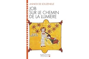 Job sur le chemin de la lumière (Espaces Libres - Spiritualités Vivantes)