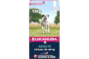 Eukanuba Chien Adulte Nourriture sèche Pour Grande Race Saumon&Orge 12kg