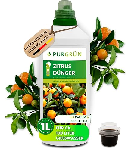 dünger für olivenbaum selber machen ProviPlant Oliven-Dünger: Für Olivenbäume im Innen- und Außenbereich main image 1