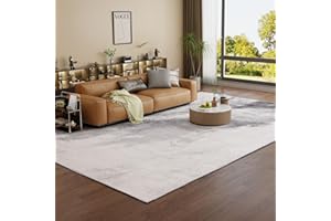 Vamcheer Alfombra Salón Pelo Corto - Alfombras de área Abstractas Modernas Imitación Cachemira,Antideslizantes y Lavable, Decorativas para Dormitorio,Comedor,Pasillo,Interiores (Gris Claro 200x300)