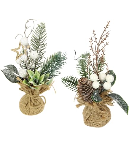 wie hoch wachsen thujas Lebensbaum Thuja occidentalis Smaragd 120-140 cm Höhe Ballenware