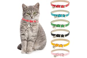 tao pipe Katzenhalsband Leder Haustier Halsbänder Katzenhalsbänder Aus Leder Mit Abnehmbarer Glockenpolierter Strapazierfähiger Weich Und Verstellbar Für Kleine Mittelgroße Hunde（6 Stück）