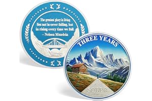 ACGZQY 3 Jahre Sobriety-Münze - Schneeberg-Reise, Wiedergeboren aus dem Sturm, AA-Chip & Medaille, Sober Token, Geschenk für Anonyme Alkoholiker