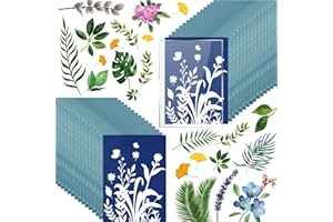 runrayay Kit di Carta per Stampa Solare cianotipica, 32 Fogli di Carta cianotipica con 1 Foglio di Pannello Acrilico, A6 Carta per Stampa Solare ad Alta sensibilità della Natura (5,8 X 4,1 Pollici)
