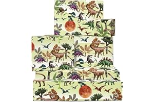 Papier Cadeau Dinosaure - 6 Feuilles de Papier Cadeau - Lune, Plante, Dino - Papier Cadeau Vert pour Enfant, Garçon Fille - Pour Anniversaire ou Baby Shower - avec Autocollant - Central 23