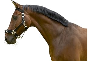 COVALLIERO Cincha de estocada Kerbl plástico – Cabestro, Negro