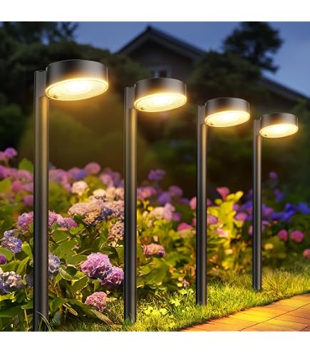 Saponhonix Luci Solari per Giardino, 2 Pezzi Luci Solari Ipereabili
