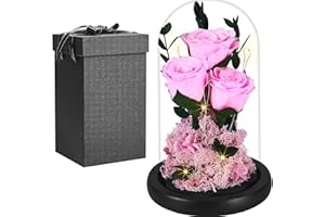 PISKEKAT Real Rosa Eterna en Cúpula de Cristal, Mujer Regalo Cumpleaños, La Bella y La Bestia Rosa Preservada Flor, San Valentin Aniversario Madre Regalo Mamá Esposa Novia Abuela Regalo