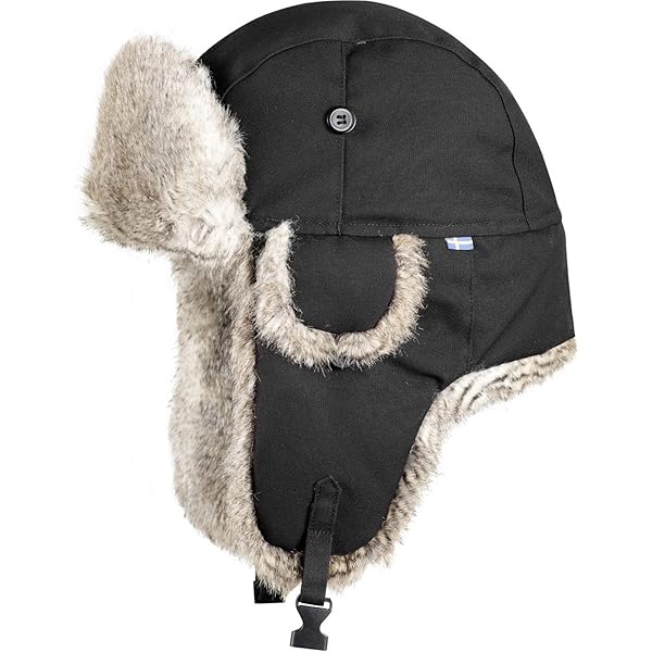FJÄLLRÄVEN