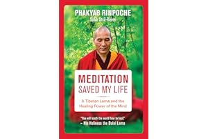 Meditation Saved My Life: A Tibetan Lama and the Healing Power of the Mind