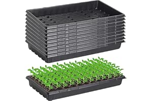 LANPEW 10 Stück Anzuchtschalen ohne Abflusslöcher 54x28cm Perfekte Gartensamen-Anzuchtschalen für Setzlinge Gärtnern im Innenbereich,Mikrogrün Weizengras Hydrokultur (schwarzes 10-Pack)