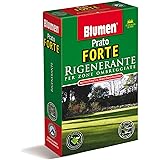 Blumen Prato Forte rigenerante per Zone ombreggiate