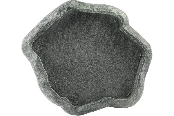 Tbest Abreur Tortue Terrestre,Bol d'eau De Bain pour Tortue,Bol D'menon pour Piscine,Bole Terum en Résine Dule pour Reptiles,Bol D'menon pour Nourriture