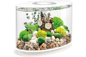 Acuario biOrb LOOP 15 LED, 15 litros, blanco - juego completo de acuario con sistema de filtro patentado, tanque acrílico