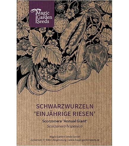 Semi Di Salsify Geant Noire De Russie - 600 Semi | Radice Nera Da Cucina | Coltivazione Facile - Foto 10