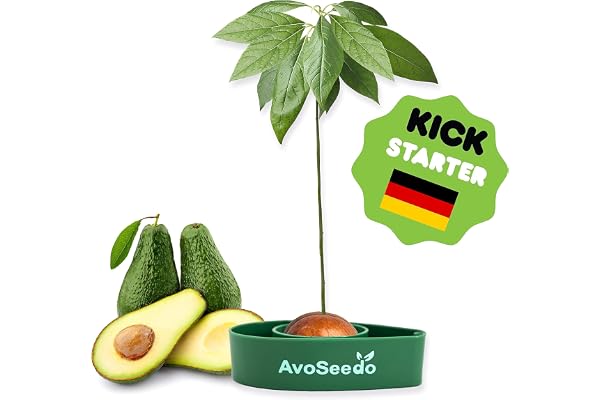 AvoSeedo Faire Pousser Votre Avocatier - Kit Jardinage et Idee Cadeau Femme Original | Coffret Cadeaux Plante Anniversaire Homme | Potager, Plantes Vertes d' Intérieur et Extérieur | Gadget Insolite