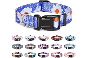 Suredoo Adjustable Nylon Dog Collar with Patterns, Soft Comfy Pet Collar for Small Medium Large Dogs (S, Daisy)